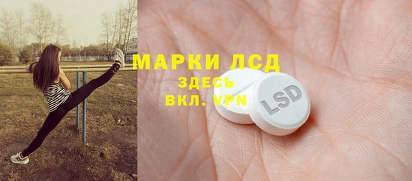 прущие грибы Алексин