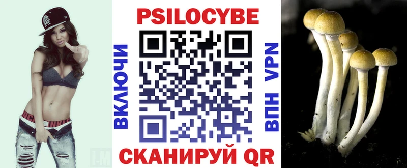 mega рабочий сайт  Голицыно  Псилоцибиновые грибы Cubensis  как найти  